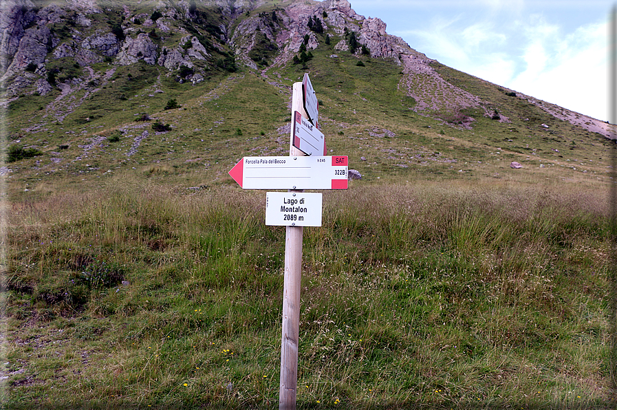 foto Da Forcella Montalon a Val Campelle